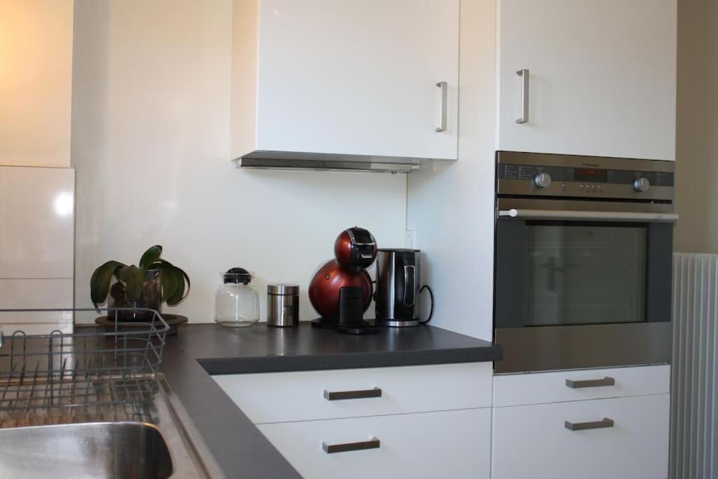 Superb Apt- Garden- 3 Parkings, Near Petite Venise ! Colmar Buitenkant foto